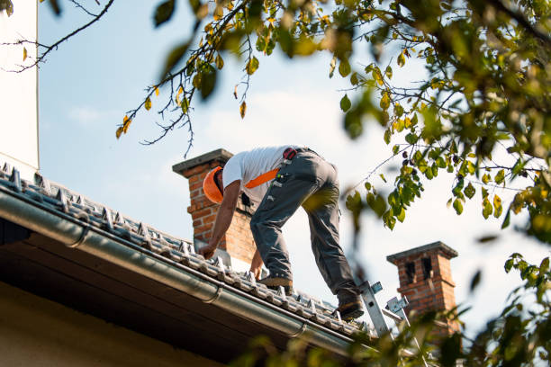 Best Roof Waterproofing Services  in Chatmoss, VA
