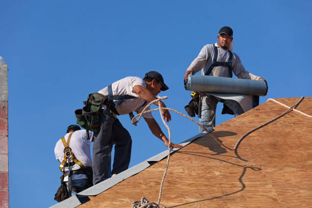 Best Shingle Roofing Installation  in Chatmoss, VA
