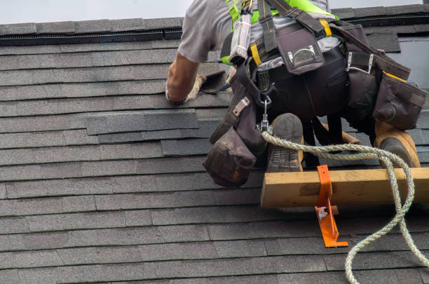 Professional Roofing Contractor in Chatmoss, VA