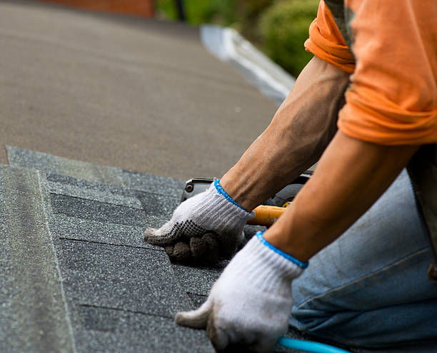 Best Roof Restoration Services  in Chatmoss, VA