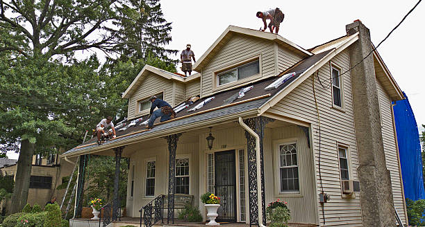 Best Roof Repair Services  in Chatmoss, VA